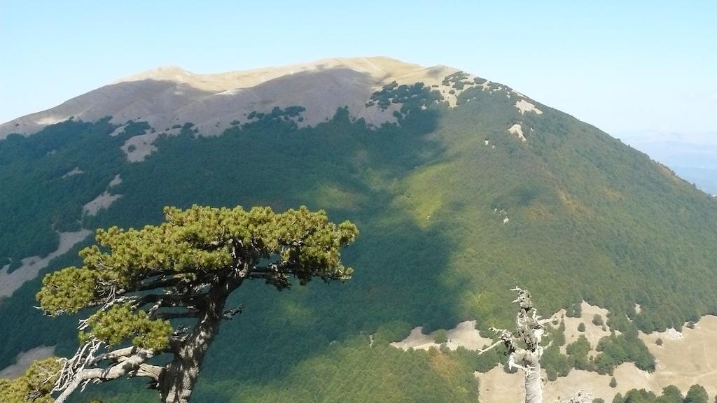 Il Belvedere ชิวิตา ภายนอก รูปภาพ